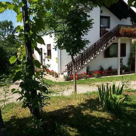 Apartment Manda Rakovica Bagian luar foto