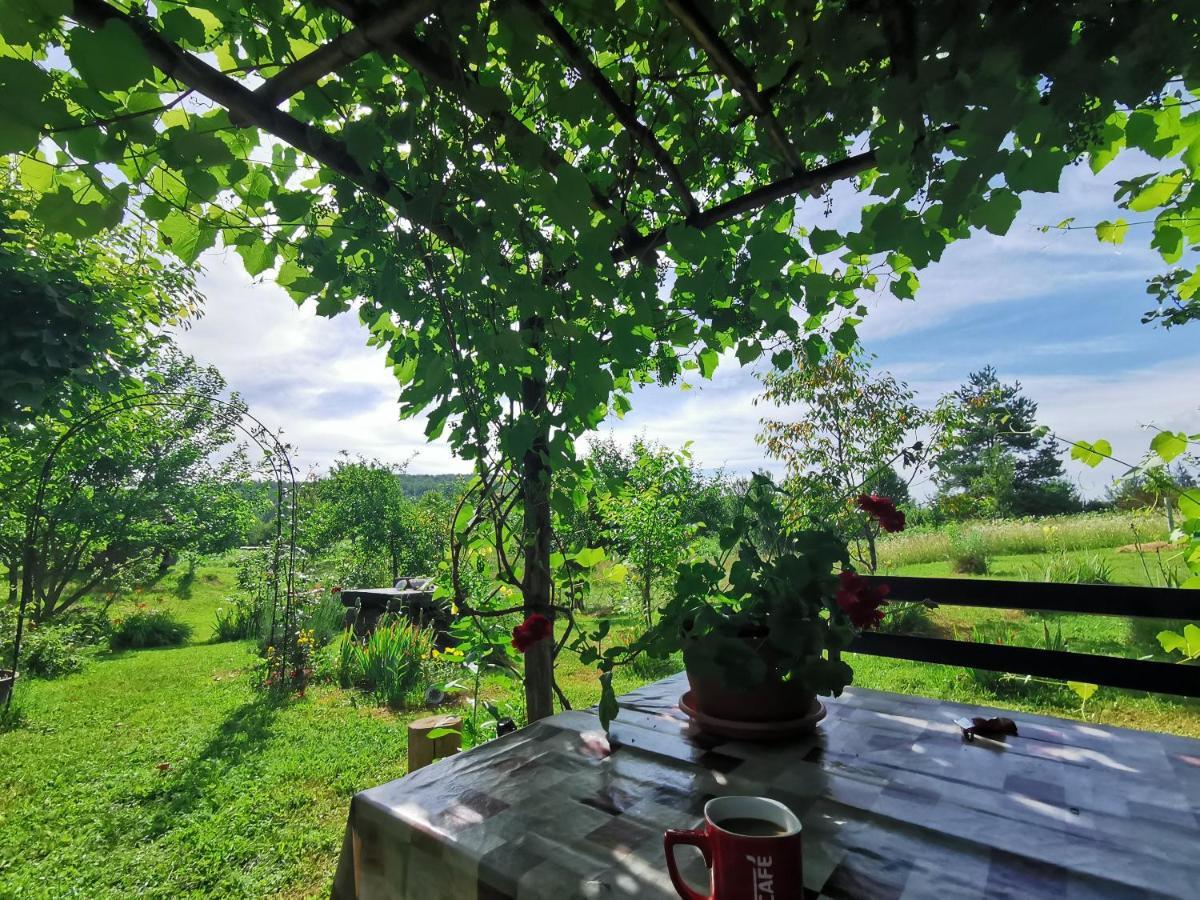 Apartment Manda Rakovica Bagian luar foto