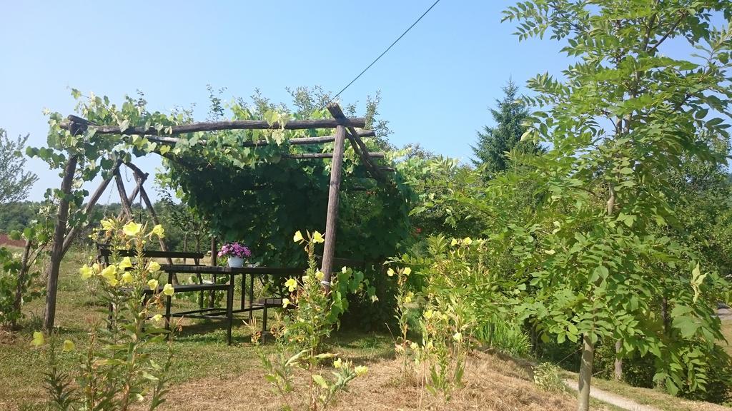 Apartment Manda Rakovica Bagian luar foto
