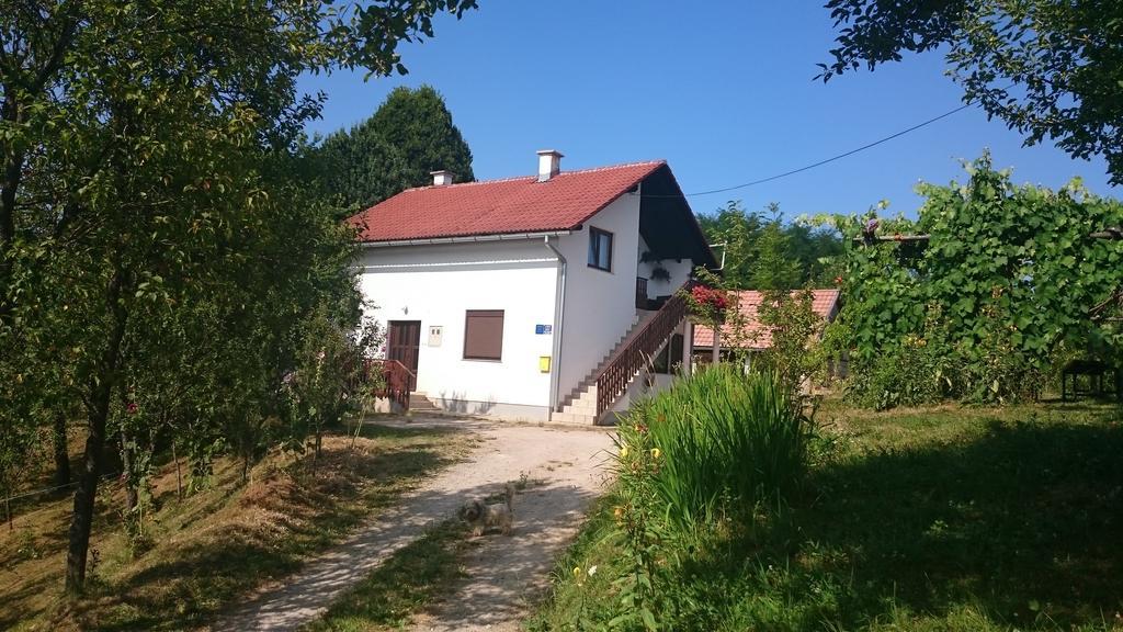 Apartment Manda Rakovica Bagian luar foto