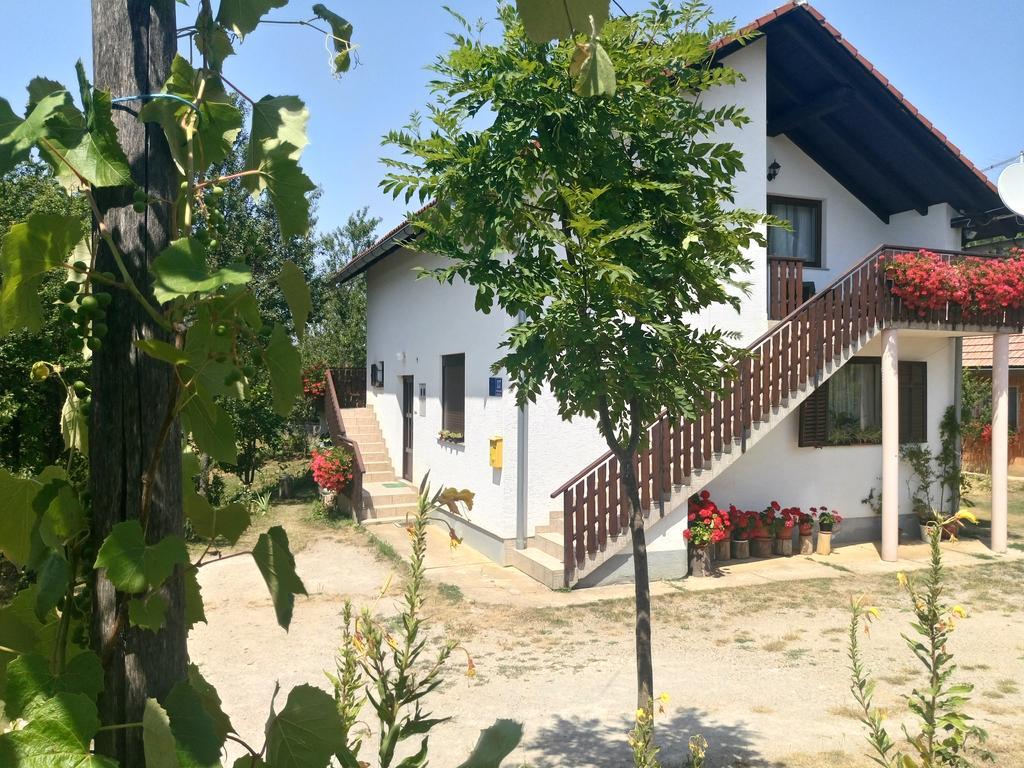 Apartment Manda Rakovica Bagian luar foto