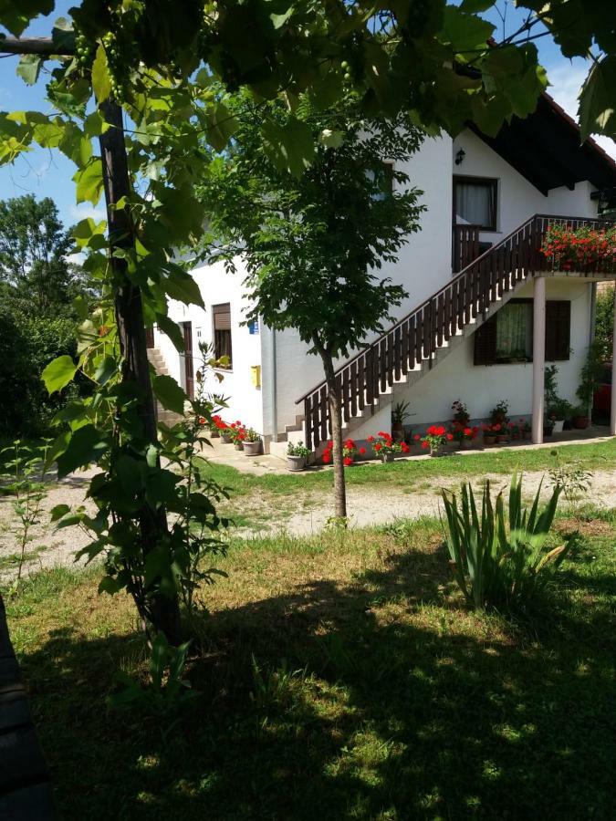 Apartment Manda Rakovica Bagian luar foto