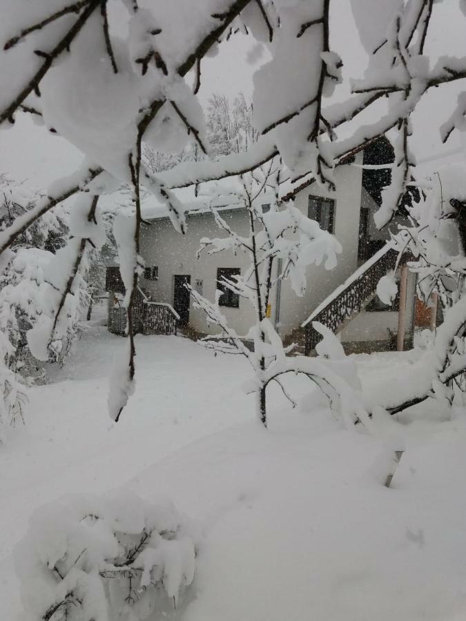 Apartment Manda Rakovica Bagian luar foto